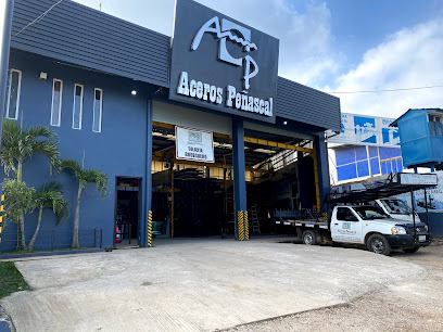 Aceros Peñascal S.A. de C.V. en Xalapa