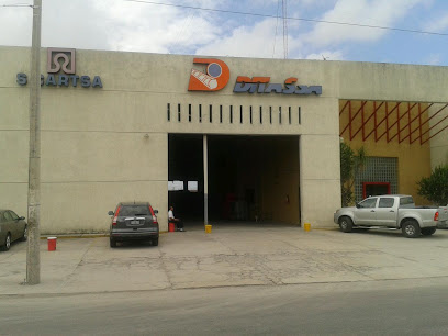 Ditassa en Mérida