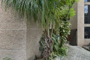 Ici Construcción y Desarrollo S.A. de C.V. en Cancún