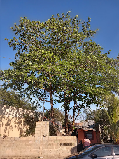 Materiales para Construcción Los Picapiedra en Mérida