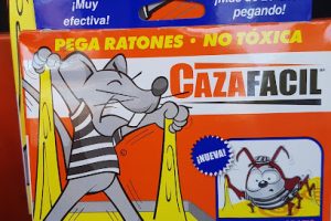 Materiales para Construcción Palacios en López Mateos