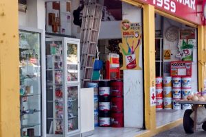 Pinturas y Materiales Vegmar en Celaya