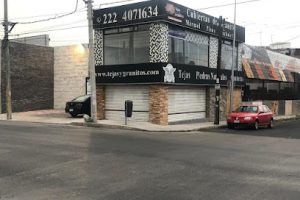 Tejas El Aguila Puebla 25 Poniente en Puebla