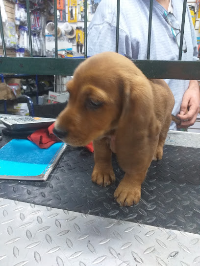 Tlapaleria Tórres en Tonalá