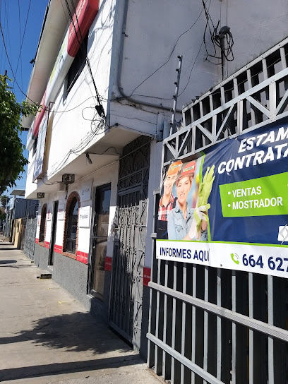 Vector de Baja California S.A. de C.V. en Tijuana