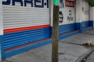 El Surtidor del Bajio en Irapuato