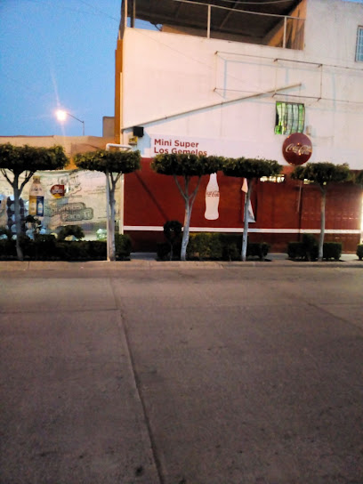 Los Gemelos en Celaya