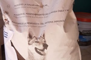 Panel Rey en Xochimilco