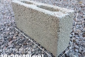 Bloquera El Armadillo en Tepic