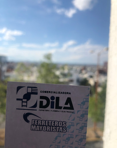 Comercializadora Dila en Soledad de Graciano Sánchez