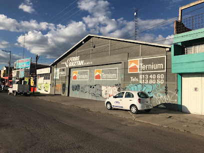 Ferre Baztan Lazaro Cardenas Celaya en Celaya