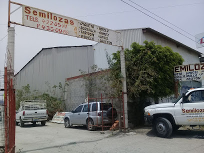 Semilozas en León
