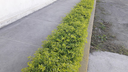 Sika Mexicana Escobedo en General Escobedo