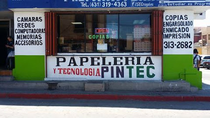 Pintec en Nogales