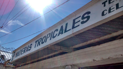 Maderas Tropicales en Jesús María