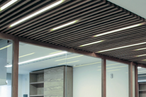 El Bosque en Cuajimalpa de Morelos