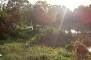 Concretos Cbc en Tecomán