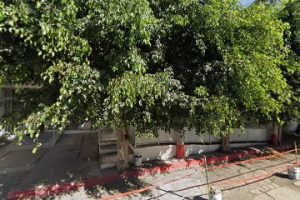 Maderería 5 Hermanos en Cuautla