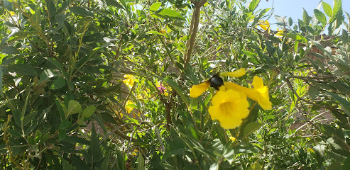 Construrama Materiales para La Construcción y Más... en Zacatecas