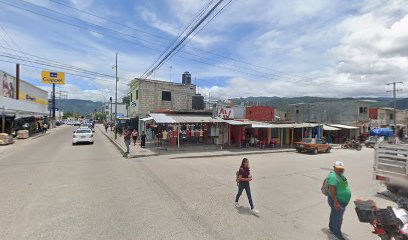 Hernandez Morales Maria del Perfecto en Ocosingo