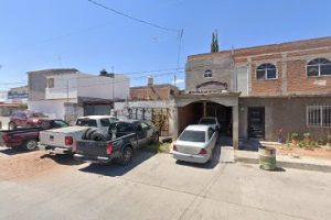 Cimbras en Chihuahua