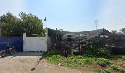 Mf en San Martín Texmelucan