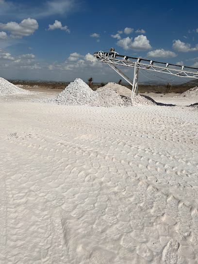 Triturados Gm en Lerdo