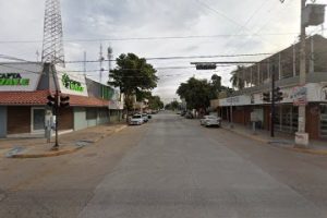 Bambú Terra en Guasave