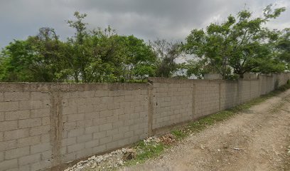 Reyes María Ema en Altamira