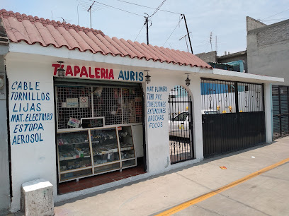 Tlapalería Auris en Chicoloapan