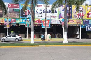 Gersa en Tuxpan
